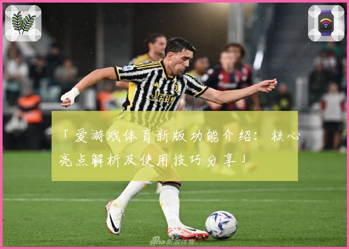 「爱游戏体育新版功能介绍：核心亮点解析及使用技巧分享」